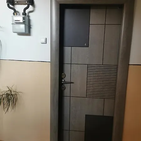 Amy Apartment Piatra Neamt Exterior photo